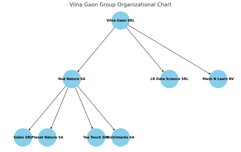 Vilna Gaon Group Structure